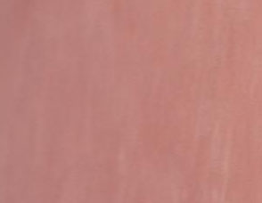 0313 Salmon